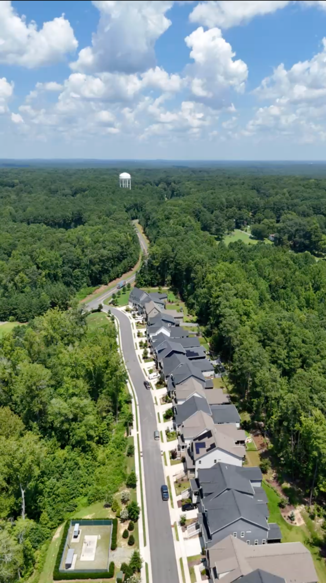 Neighborhood road bordered by a lush forest